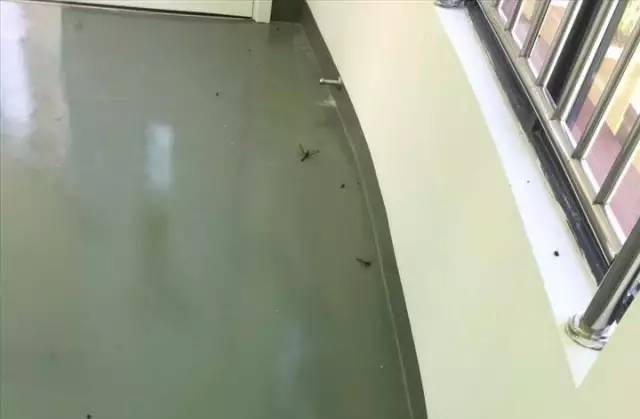 死尸遍地！寧波一幼兒園裝修后現(xiàn)場(chǎng)觸目驚心！