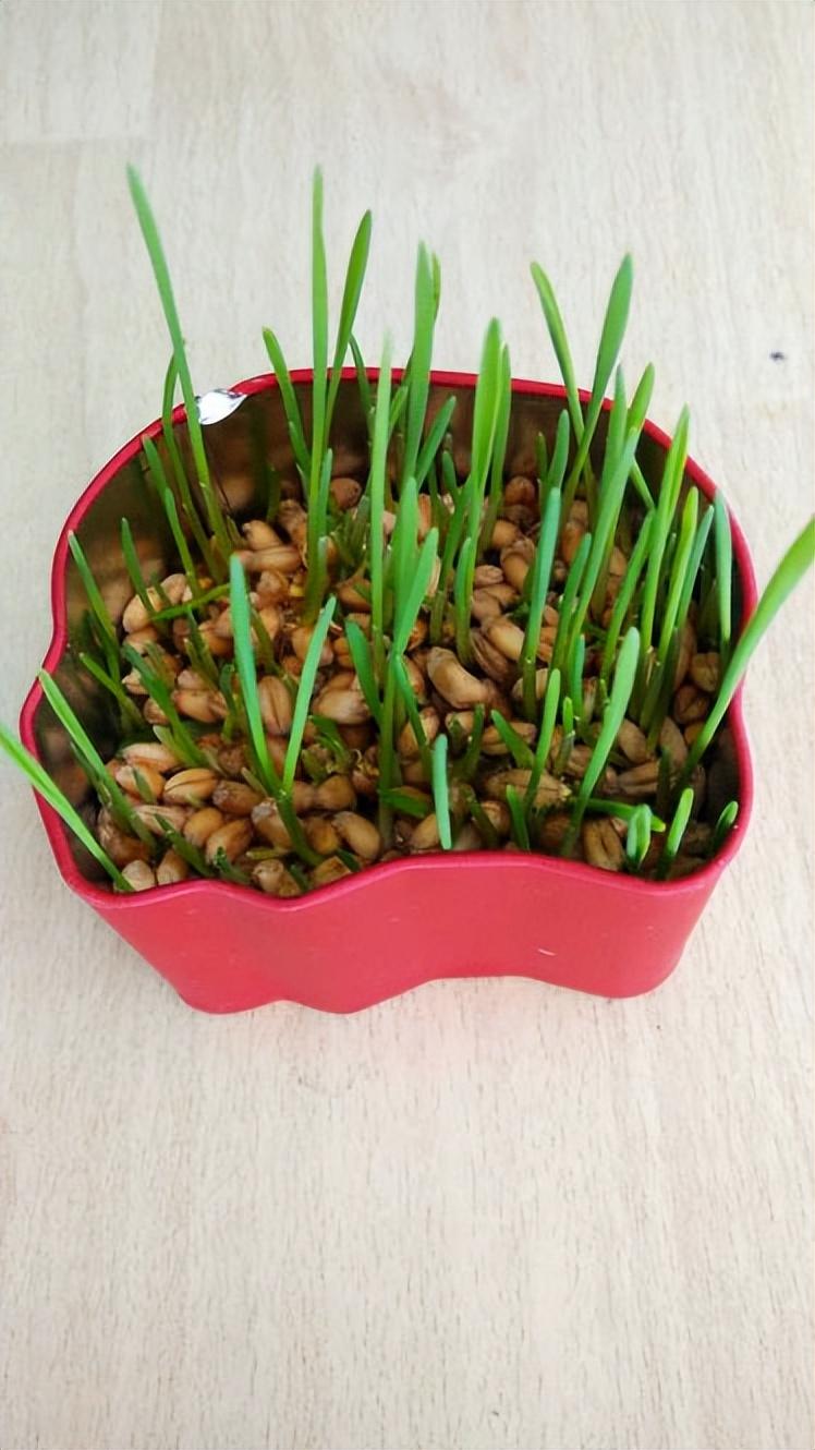 上海平元設(shè)計(jì)設(shè)計(jì)_門(mén)廳過(guò)道裝修與風(fēng)水設(shè)計(jì)_上海裝修設(shè)計(jì)