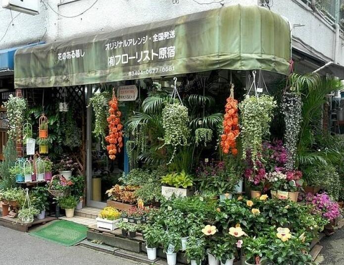 90后美女在閣樓開店鋪！房間太破，奇思妙想用各種植物來掩蓋