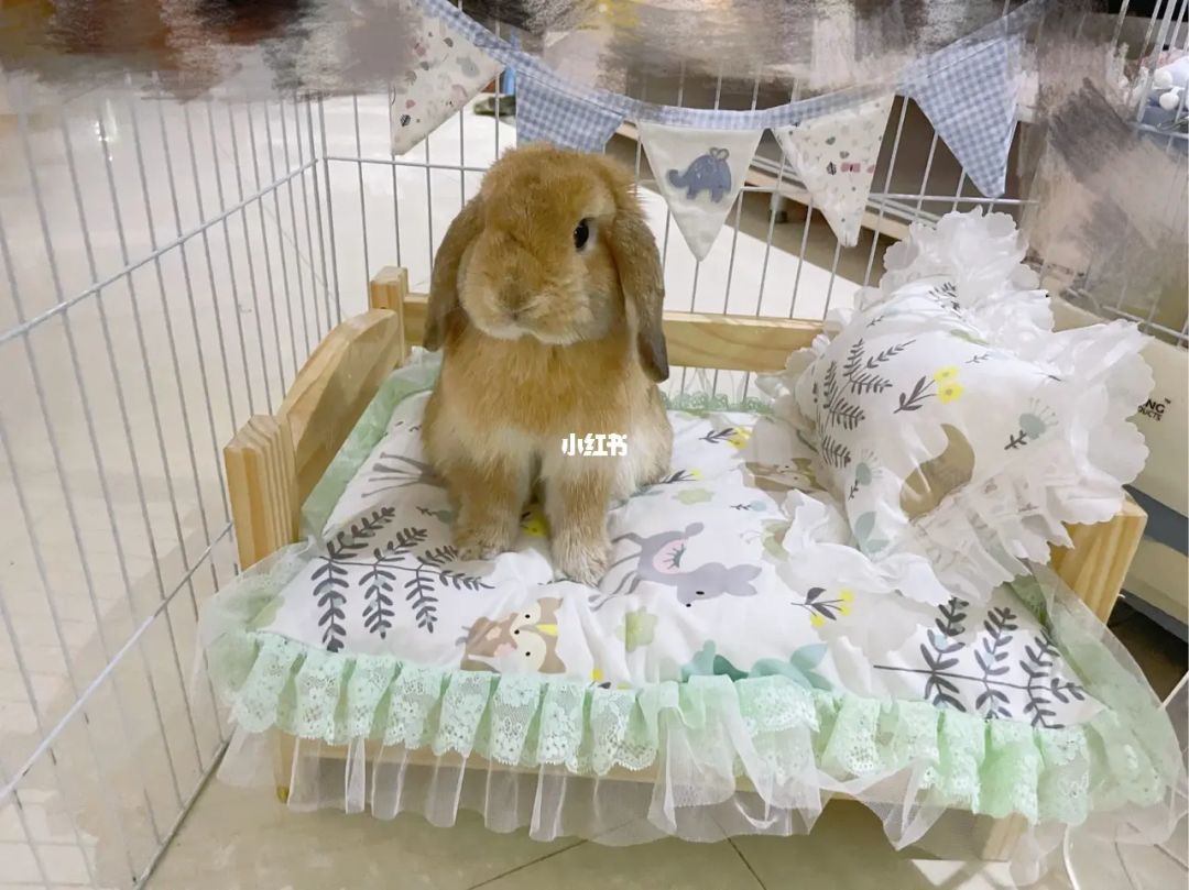 兔寶貝裝修網(wǎng)：揭密西安裝修公司貓膩業(yè)主千萬別貪圖便宜低價(jià)裝修肯定有會吃虧