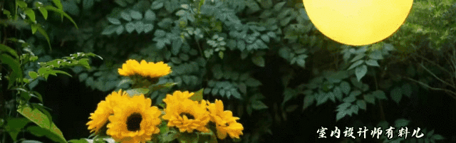 她買下一樓60平方米院子，打造成絕美花園，連陽(yáng)臺(tái)、客廳也不放過